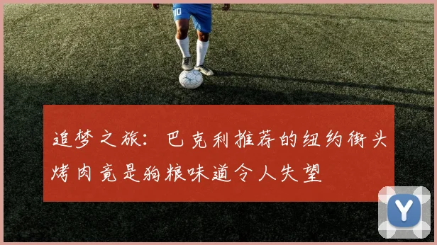 追梦之旅：巴克利推荐的纽约街头烤肉竟是狗粮味道令人失望